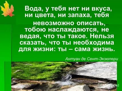 Бережно значение слова