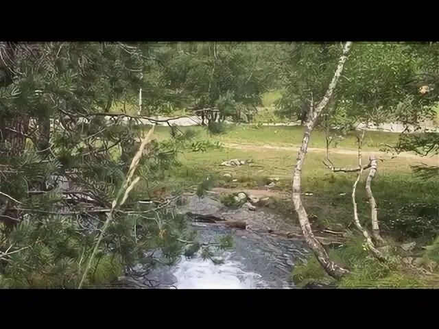 Прозрачный ручей предложение