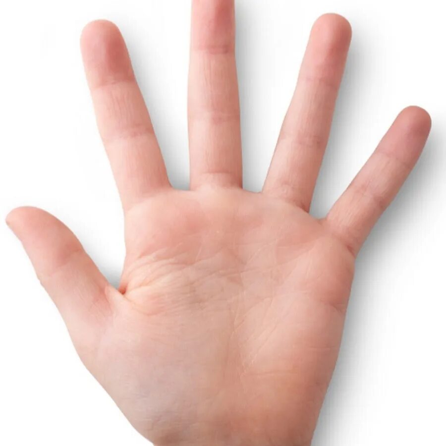 Пальцев 2 том. Открытие 10 пальцев это как. Средний и безымянный палец. Держит двумя пальцами. Открытие 10 пальцев это как.