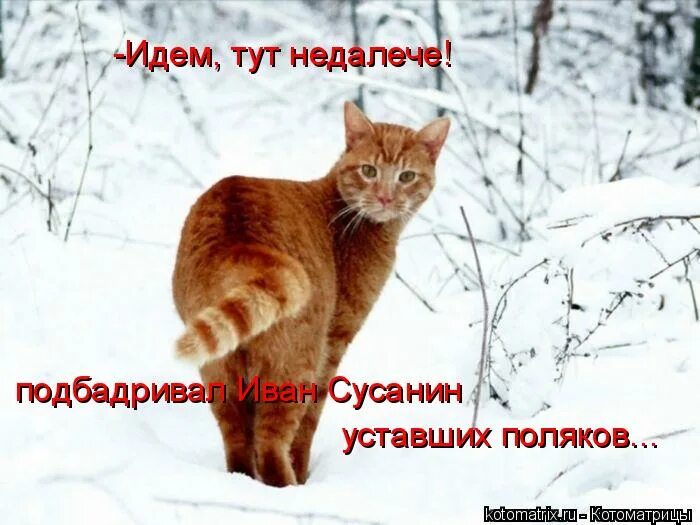Иди здесь. Недалече чем вчера. Что такое недалече. Значение слова недалече.