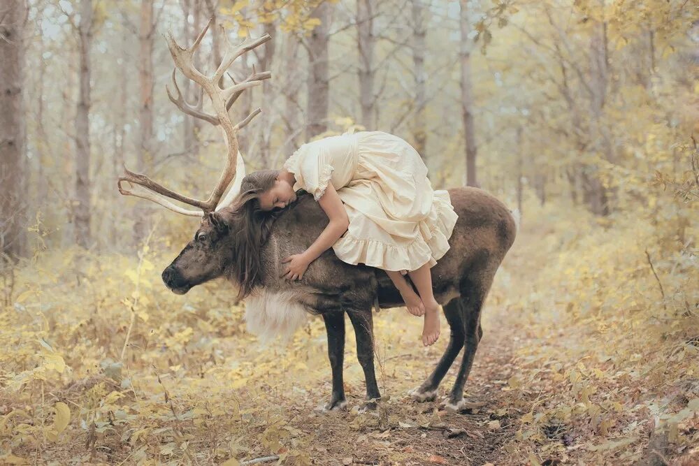 Девочка на олене. Фотограф: katerina plotnikova. девушка олень. фотосессия с оленем.