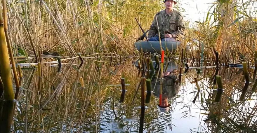 Рыбалка на поплавок в камышах. Удочка в камышах. Ловля карася в камышах. Рыбалка на карася на лодке. Поплавочная рыбалка с лодки.