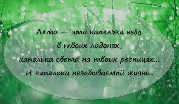 Цитаты о лете. Красивые афоризмы о лете. Цитаты про лето короткие. Красивые цитаты про лето.