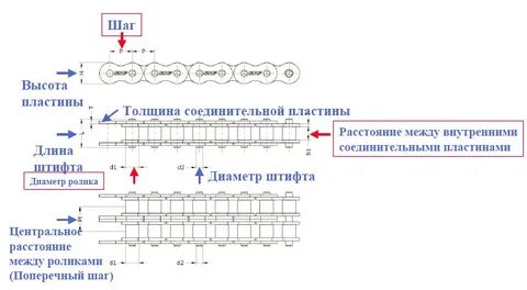 Как правильно посчитать зубья на цепи
