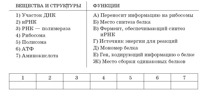 Биосинтез задания егэ. Синтез белка ЕГЭ биология. Биосинтез белка тест. Тест по биологии Биосинтез белка. Тест по теме белки.