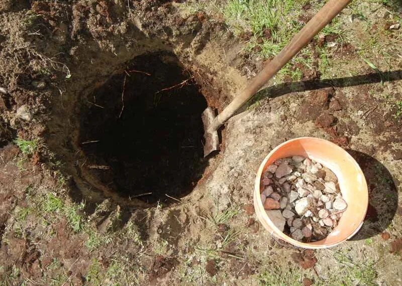 Что добавлять в яму при посадке. Посадочная яма для дерева. Лунка в земле. Что добавлять в яму при посадке. Подготовка ямы для посадки яблони.