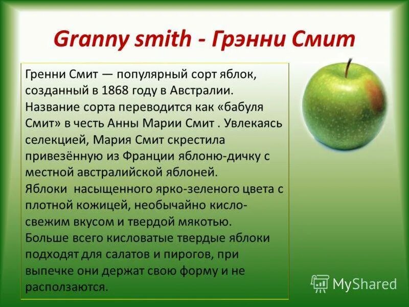 Сорт яблок гренни. Зеленые яблоки сорта ГРЕННИ Смит. Сорт яблок ГРЕННИ Смит. ГРЕННИ Смит сорта яблони. Яблоня ГРЕННИ Смит описание сорта.