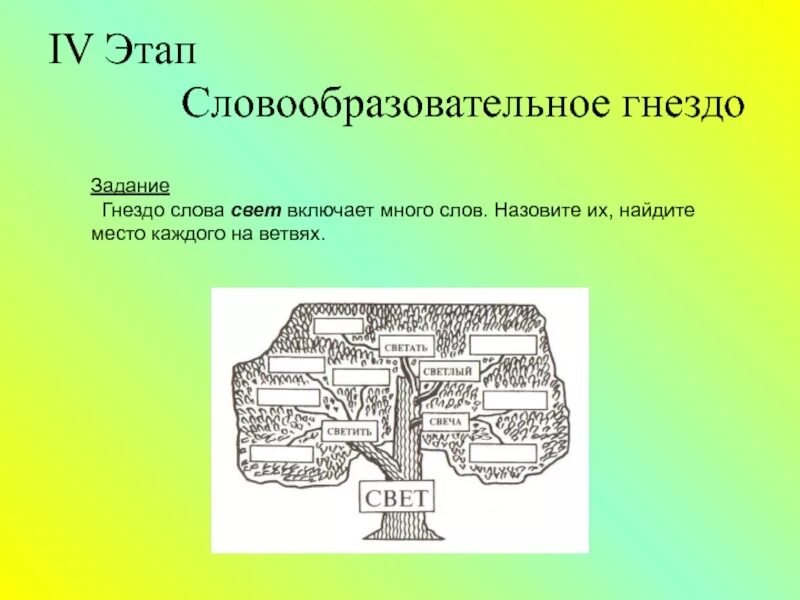 Словообразование гнездо. Структура словообразовательного гнезда. Словообразовательное гнездо примеры. Гнездо слов.