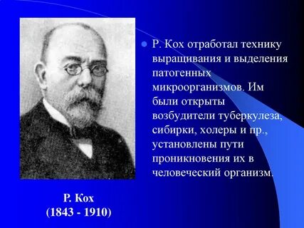 Немецкий ученый кох исследовал инфекционные болезни млекопитающих