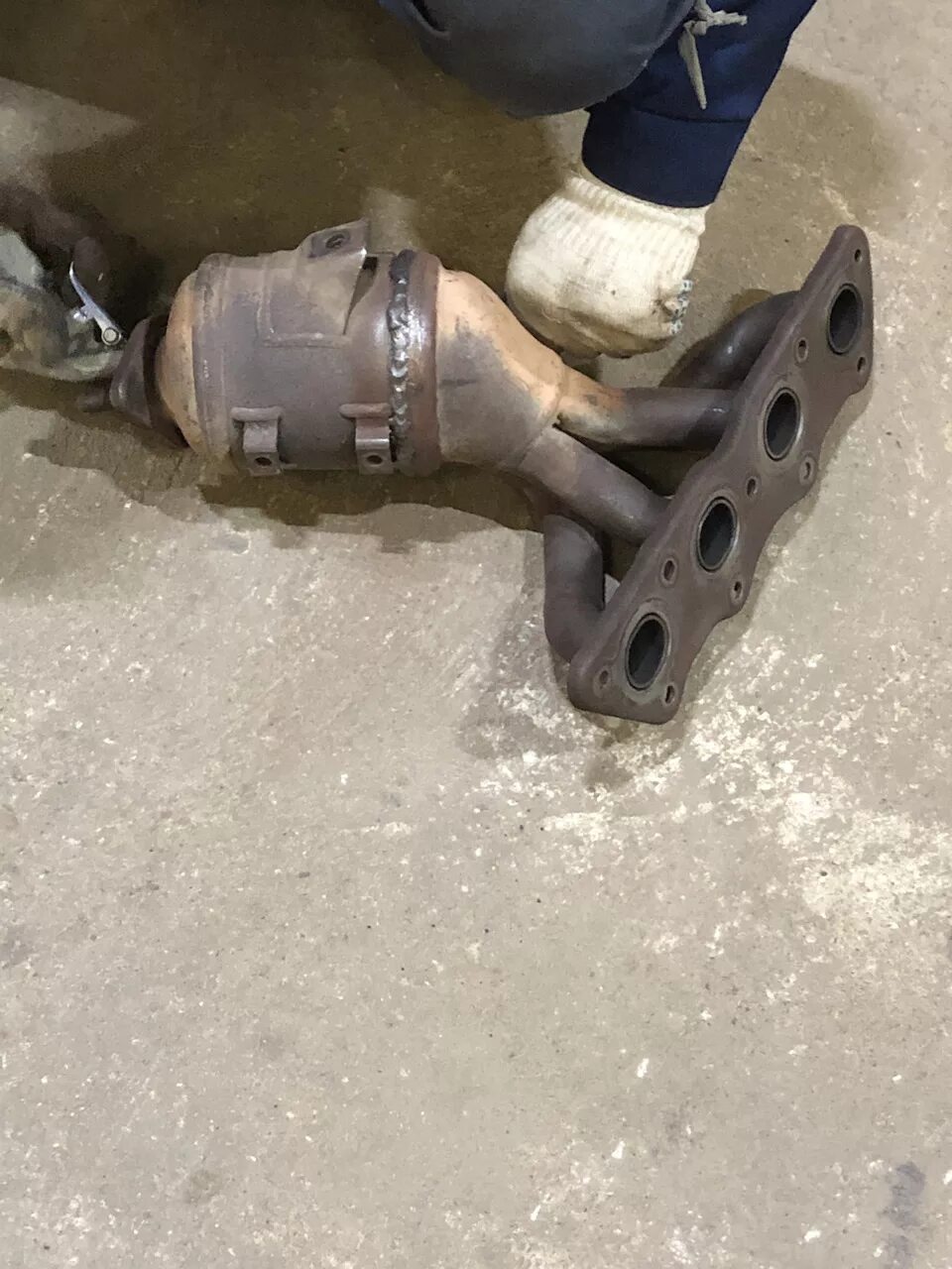 Катализатор сида. Катализатор сида. Катализатор сида. Катализатор сида. Катализатор сида.