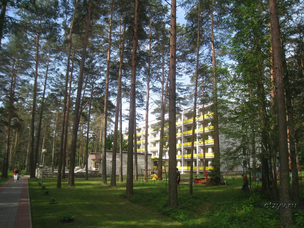 Сосновые леса в луге. Пансионат зеленый Бор. Зелёный Бор санаторий Луга. Зеленый Бор санаторий Санкт-Петербург. Лагерь зеленый Бор Луга.