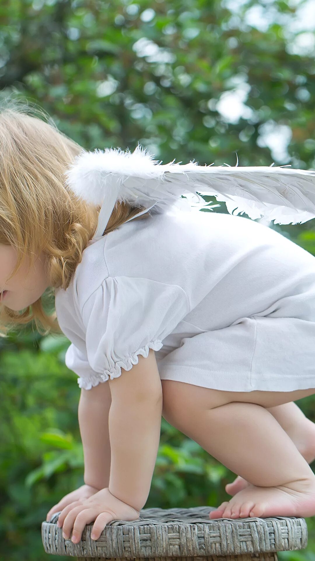 Крылья для детей. Младенец с крылышками. Ребенок с крылышками ангела. Ангел девочка младенец.