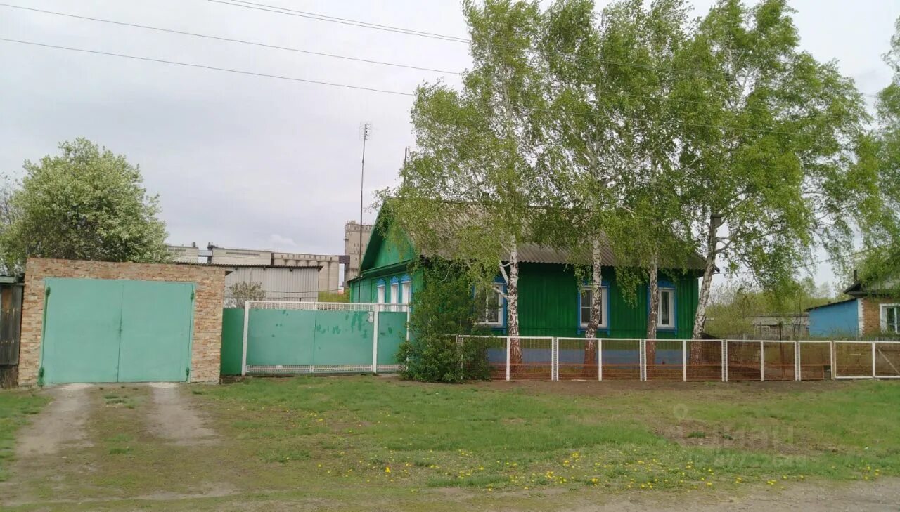 Село половинное краснозерский. Половинное краснозерский район. село половинное краснозерский район новосибирская область. магазин коллекция хабары алтайский край. полойка краснозерского района новосибирской области.