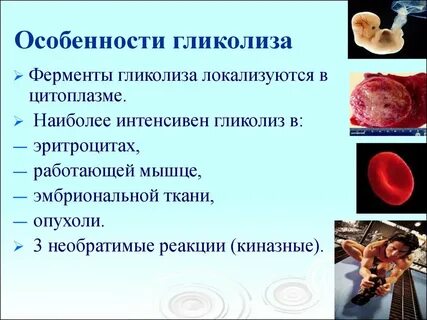 Ферменты цитоплазмы