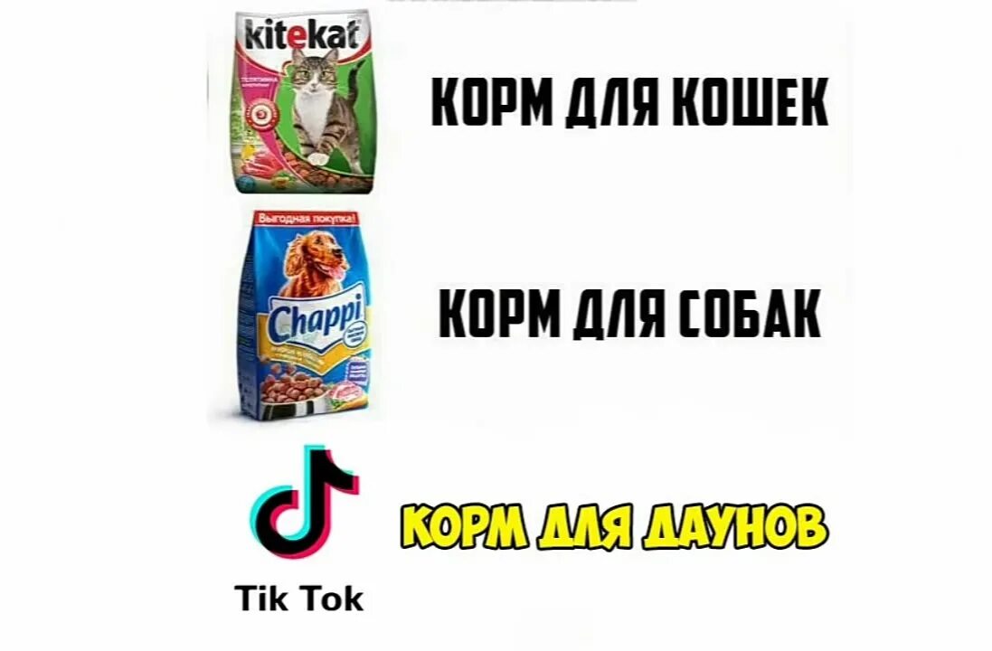 Tik tok xits. ТИКТОК для даунов. Смешные мемы для тик тока. Мем про ТИКТОК корм для даунов.