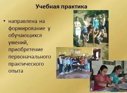 Практика в образовательных учреждениях