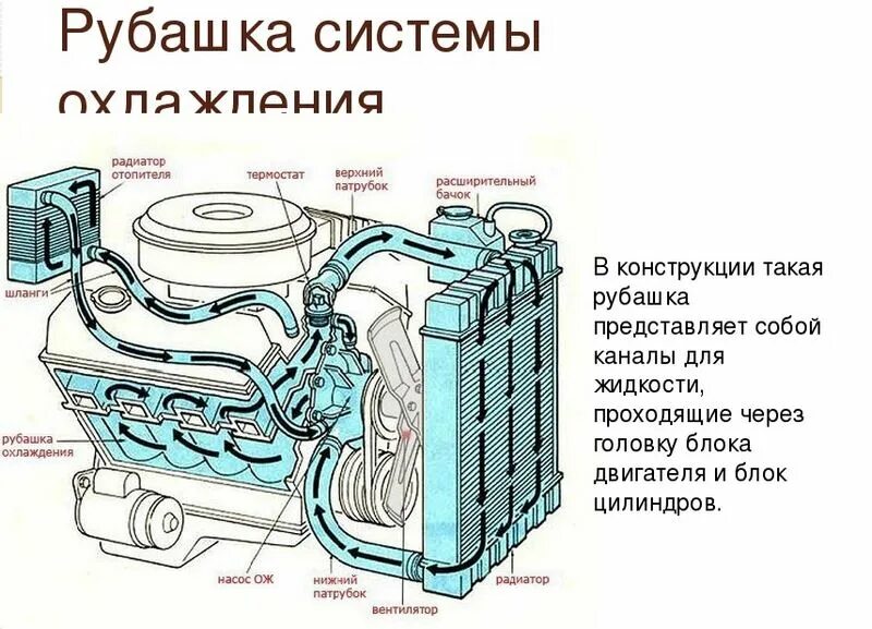 В течении периода охлаждения