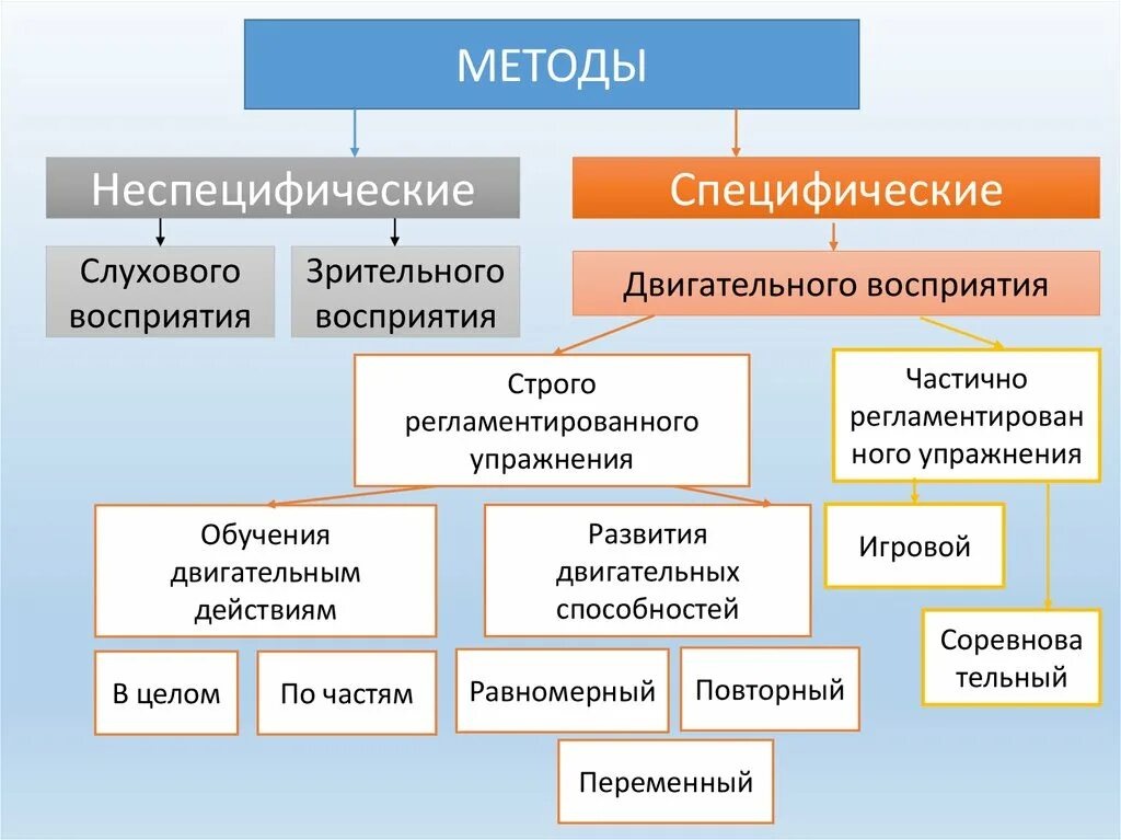 Методы наглядного восприятия. Методы двигательного восприятия. Методы развития слухового восприятия. Методы зрительного восприятия. Восприятие методы и приемы