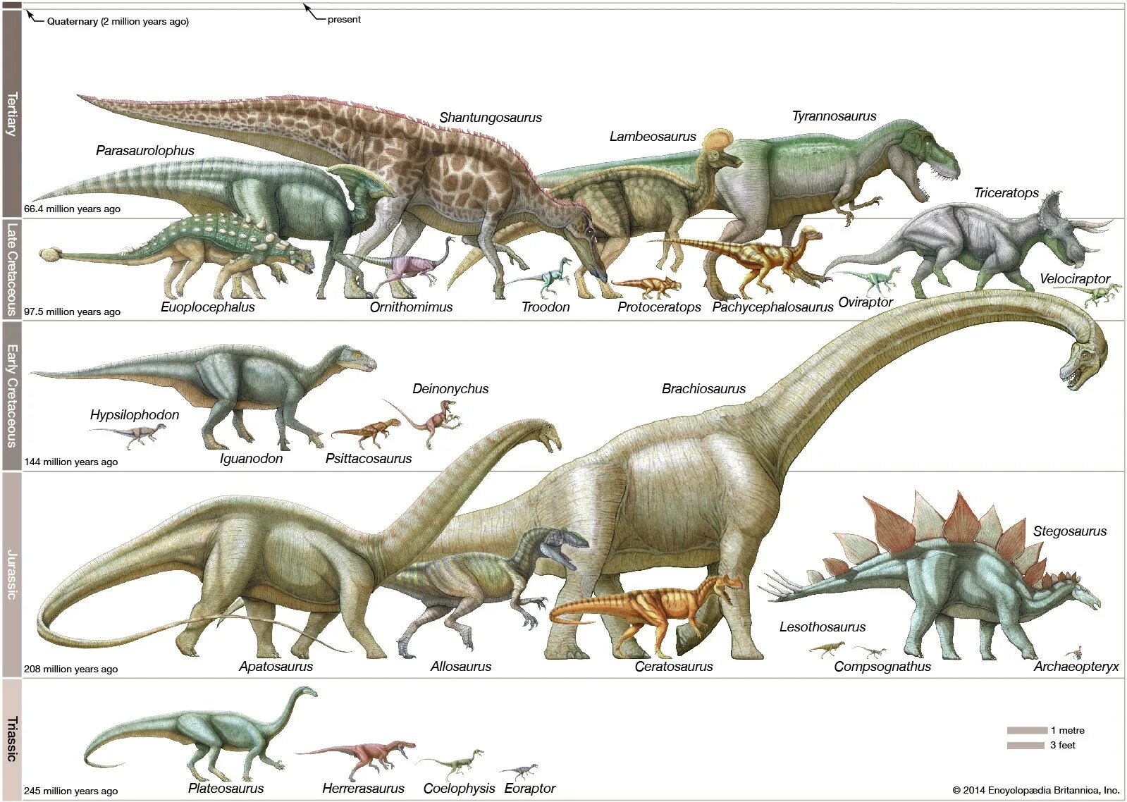 Сравнение динозавров. Зауроподы Юрского периода. Лагозух предок динозавров. Тираннозавр мезозой. Диплодок Брахиозавр Спинозавр.