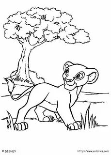 Раскраски король лев