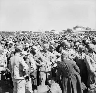Кампания 1943