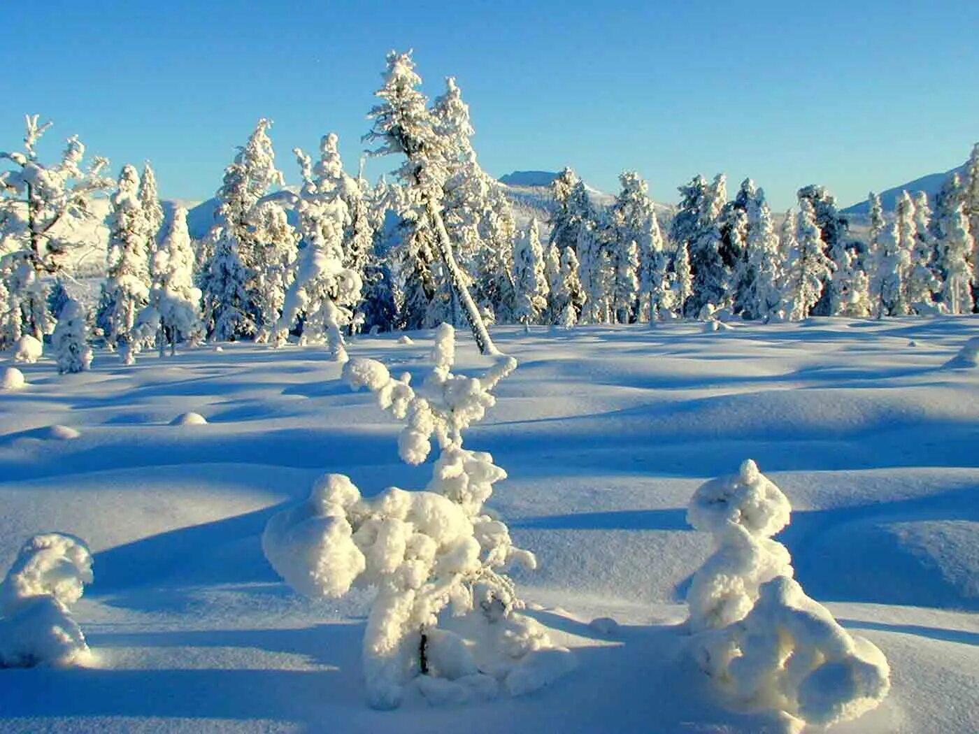 Как часто проходят зимние. Как часто проходят зимние. Зима 2010 новосибирск. Как часто проходят зимние. Встреча зимы.