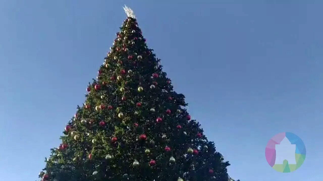 Новогодняя елка нижний. Новогодняя елка в нижнем новгороде фото.