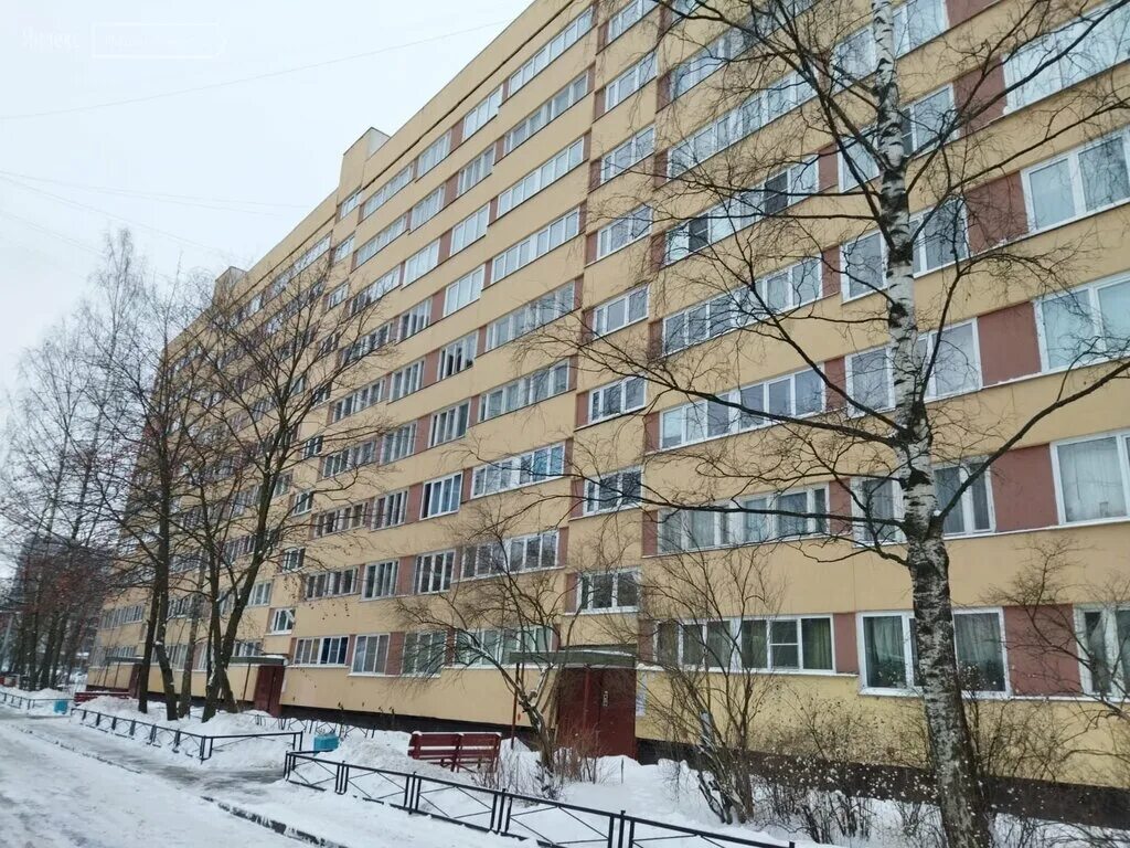 санкт-петербург аллея котельникова 3. аллея котельникова 4 санкт-петербург. 4. 4. улица аллея котельникова.