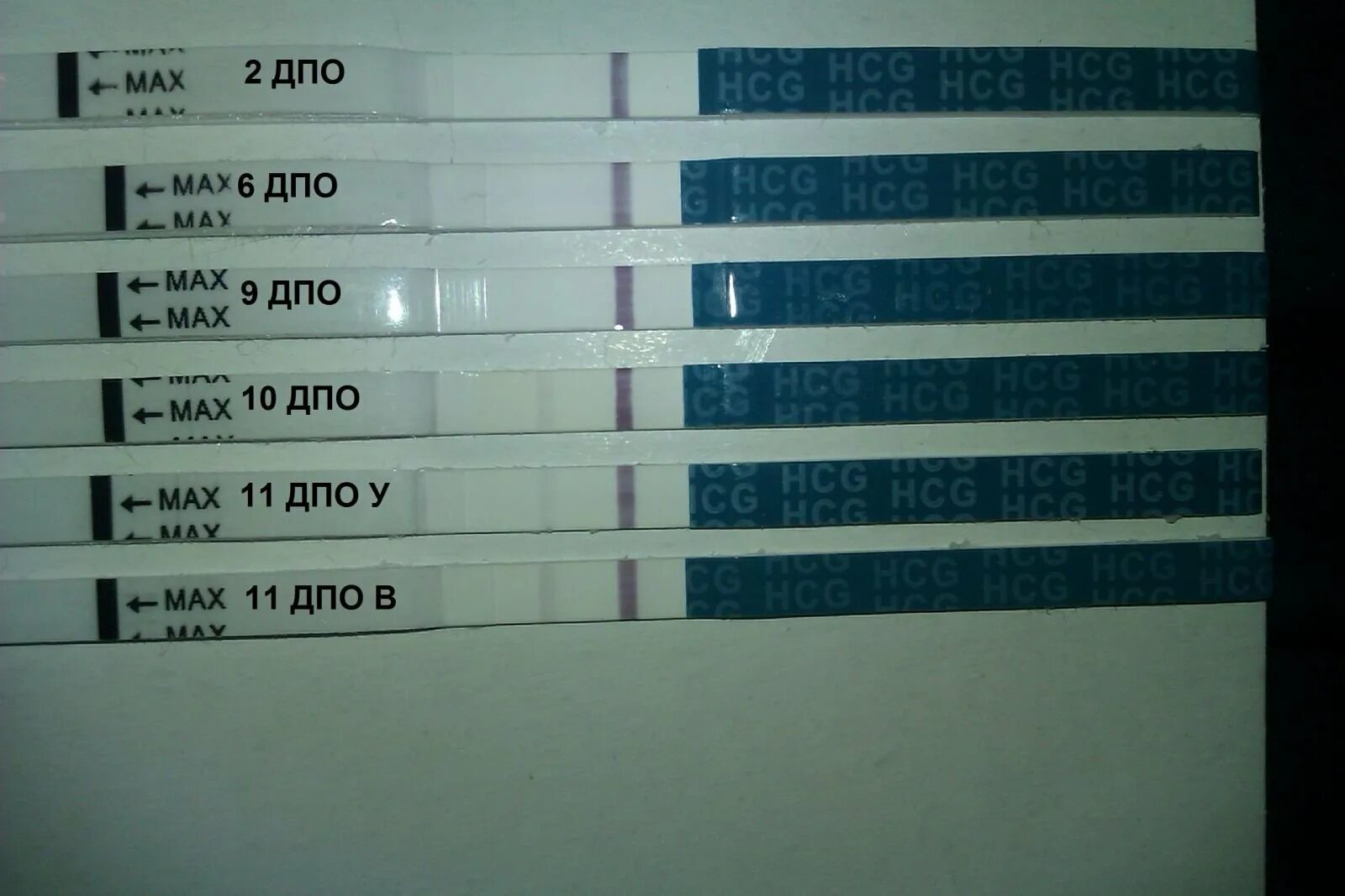 10 ДПО эвитест динамика. 5 ДПО тест на беременность отрицательный. 7-8 ДПО тест эвитест. 10 ДПО Эви тест.