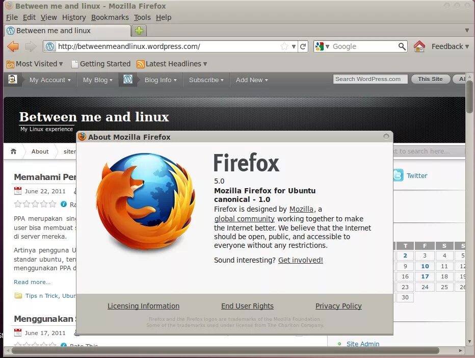 Браузер Firefox в Ubuntu. Мазила Интерфейс. Mozilla Firefox Интерфейс. Firefox 5.