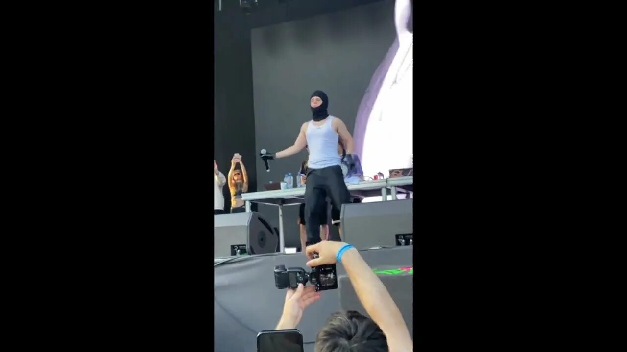 Toxi og buda bb. Toxi og buda bb