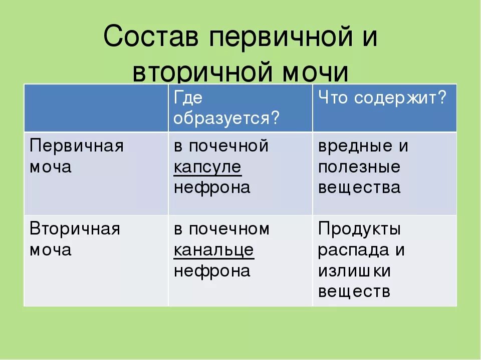 Состав первичной мочи в норме. Таблица первичная и вторичная моча состав. Состав первичной и вторичной мочи у детей. Таблица по биологии 8 класс первичная моча и вторичная моча.