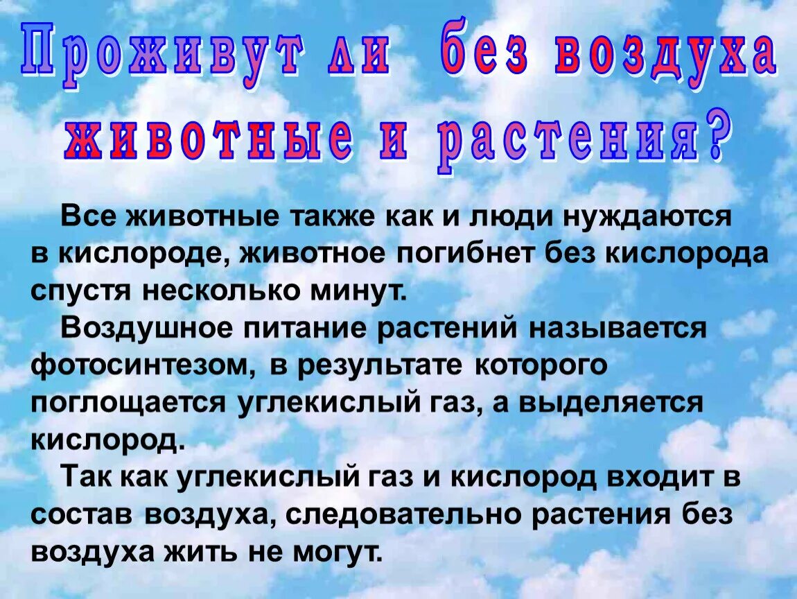 Без растений не могут жить. Почему человек не может жить без воздуха. Человек без кислорода. Человек не может жить без кислорода. Как без воздуха.