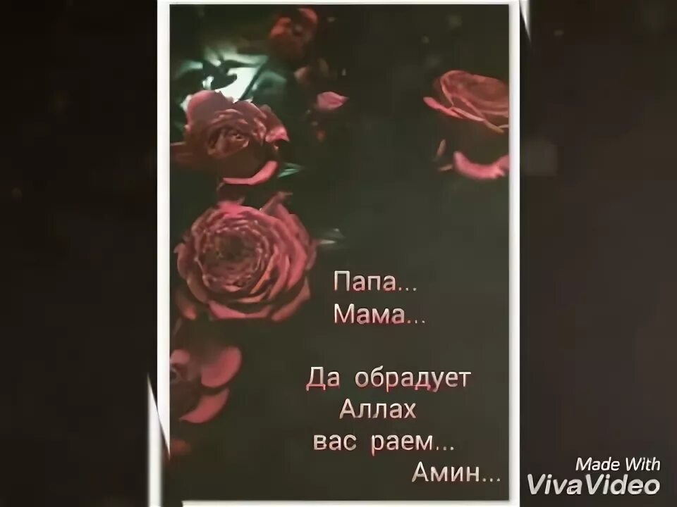 Песня мама и папа вы видели