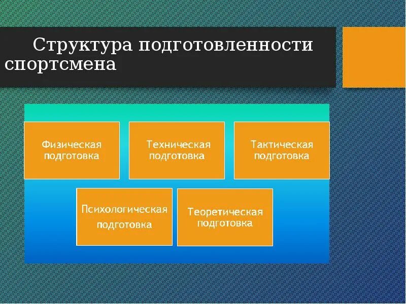 Основы спортивной подготовки. Составляющие спорта. Основные составляющие спортивной тренировки. Теоретическая подготовка спортсмена