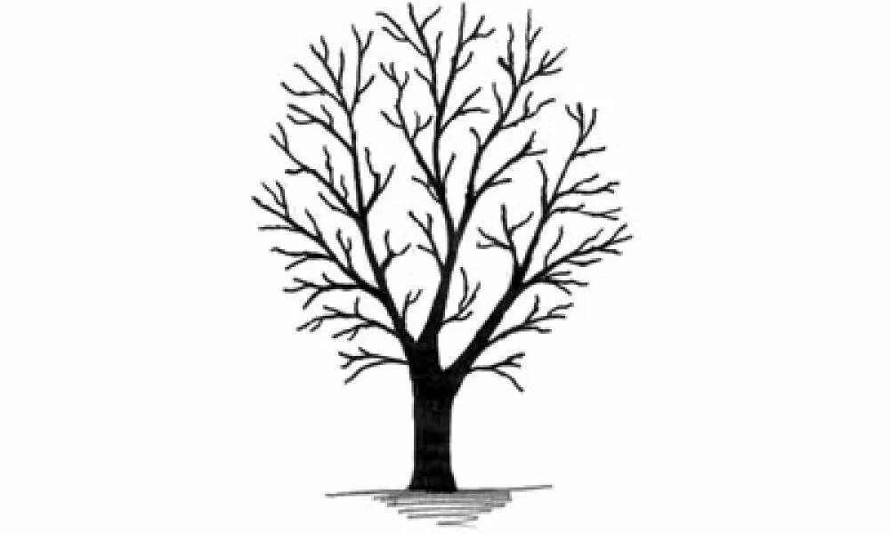 Деревья для детей без листьев. Дерево без листочков. дерево трафарет для рисования. ствол дерева без листьев. раскраска дерево без листьев для детей.
