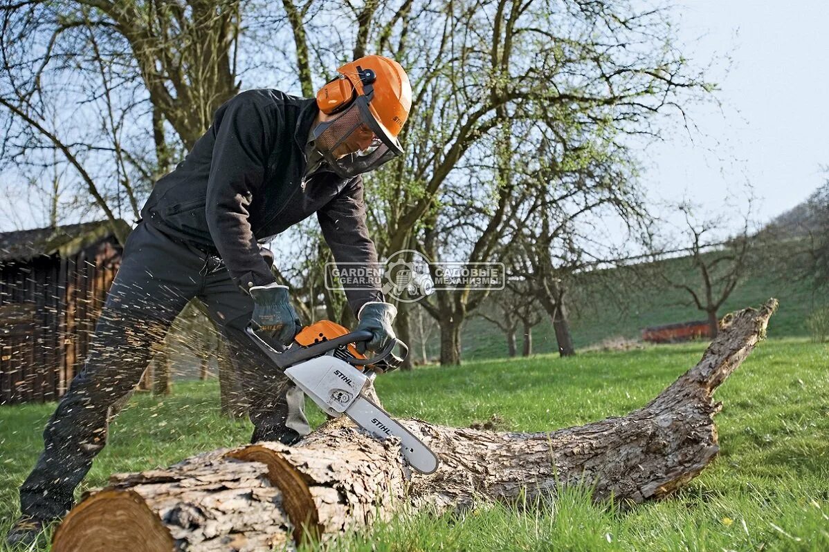 Пилить деревья на своем участке. Stihl MS 211. Пила штиль для Валки леса. Спил дерева. Пилит дерево.