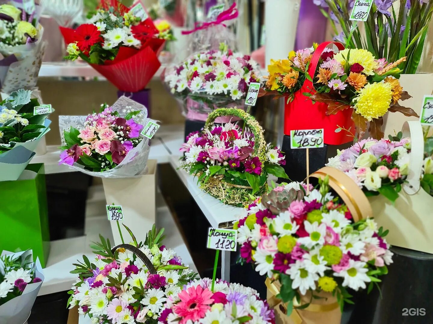 Оптовые цветочные базы. Оптовый цветочный рынок. Цветочный магазин цветочная фантазия. Опт цветов спб. Цветочная база.