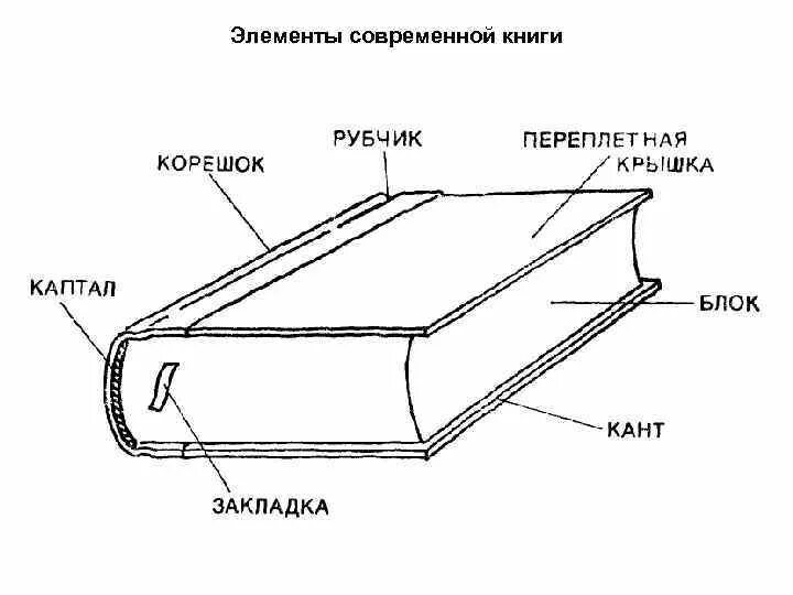 Как называется корешок книги. Из чего состоит книга структура книги. Из чего состоит корешок книги. Как называются составные части книги. Части лицевыми сторонами и