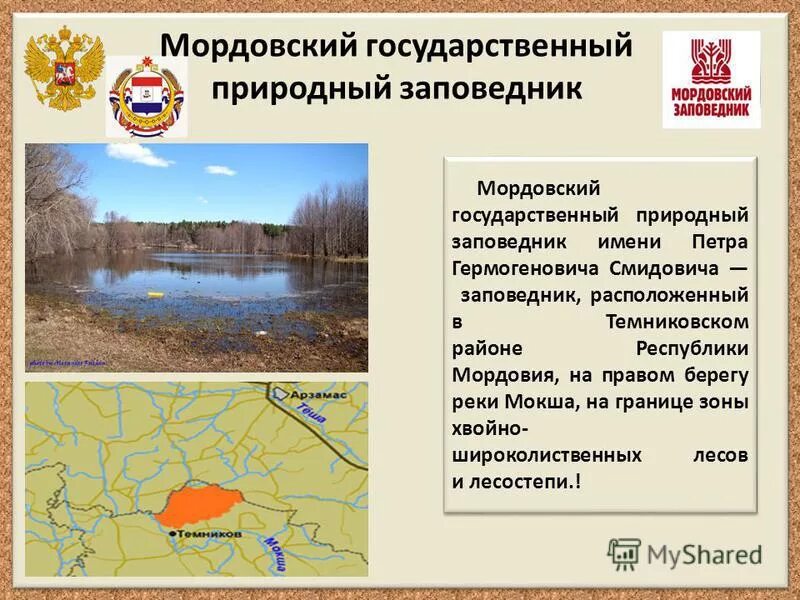 Мордовия природная зона какая. Мордовский заповедник Петра Гермогеновича Смидовича. Мордовский государственный заповедник им. п. г. Смидовича. Мордовский государственный природный заповедник Саранск. Заповедник имени Смидовича.