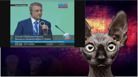 Кот костян последнее ютуб