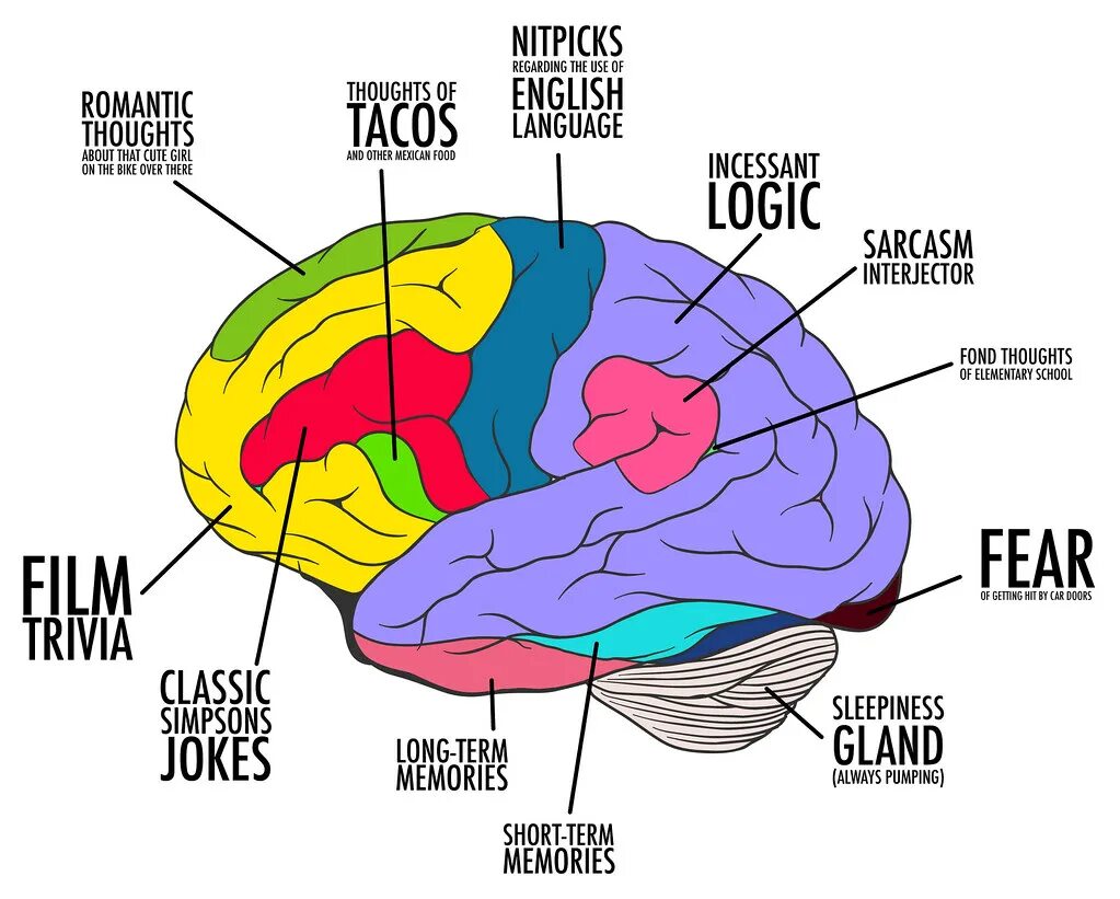 Мозг художественное. Мозг картина. Brain Mapping. Brain Maps арт. Brain карта