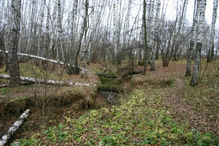 Овраг. Овражная эрозия в курской области. Кунцево овраг. Мордовия сивинскис овраги. Овраги центральной россии.