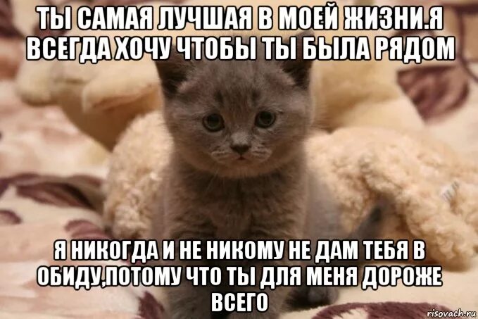 Давай сама рассказывай. Спи сладко сладко. Никому не дам тебя в обиду. Хочу чтобы ты была моей. Ты будешь со мной.