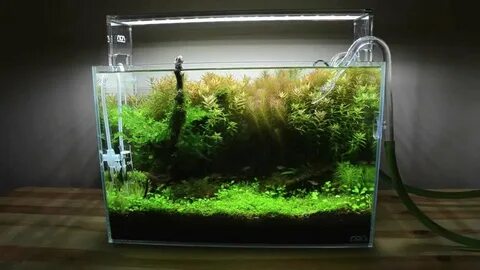 Ada tank 360