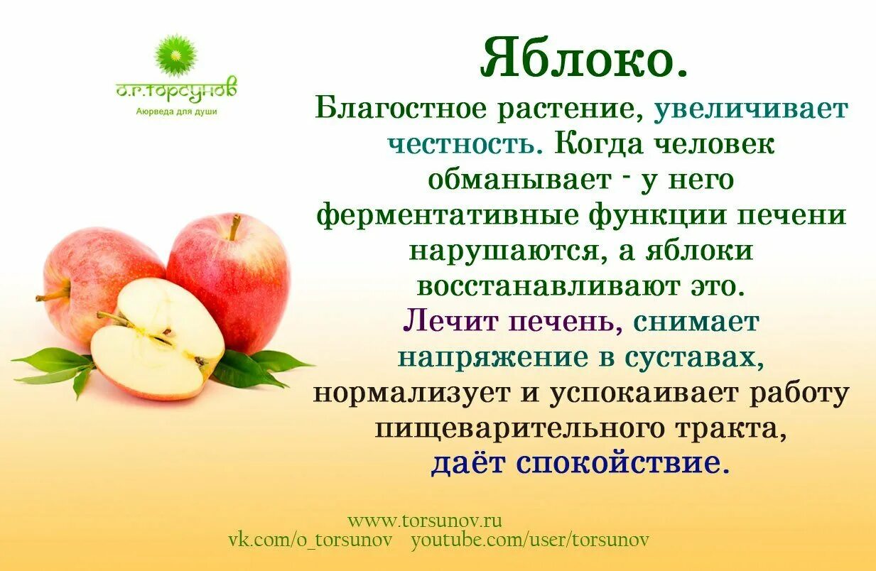 Фрукт вред для здоровья. Яблоко полезный фрукт. Польза яблок. Интересные факты про фруктов и. Полезные фрукты для детей.