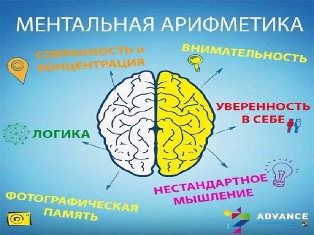 Полушария соединяет между собой. Взаимодействие полушарий мозга. Межполушарное взаимодействие мозг. Ментальная арифметика полушария головного мозга. Межполушарное взаимодействие полушарий.