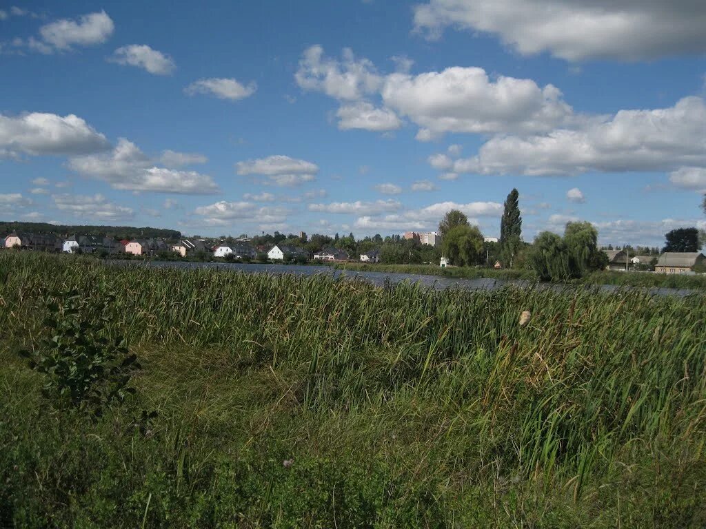 Село васильково киевская область. Васильков город сейчас. Городища васильков. Город васильково. Маленькие города украины.