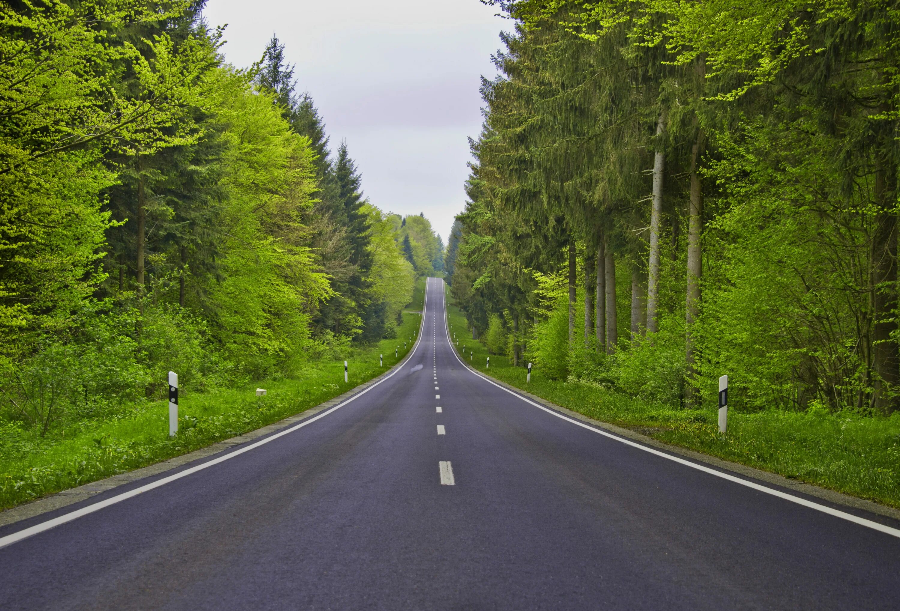 U roads. Красивые дороги. Дорога вдоль леса. Лес вдоль дороги. Дорога в лесу.