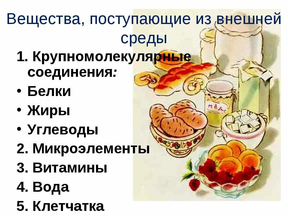 Из веществ поступающих из внешней среды